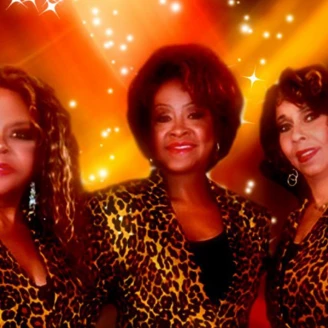 The Three Degrees